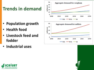 Research program on dryland cereals