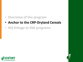 Research program on dryland cereals