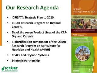 Research program on dryland cereals