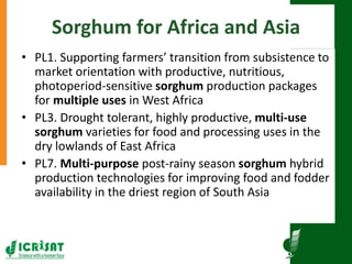 Research program on dryland cereals