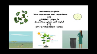 Research projects 2