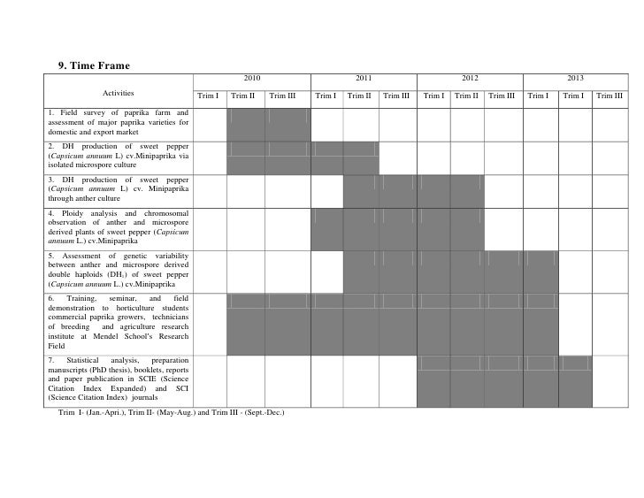 Dissertation timescale