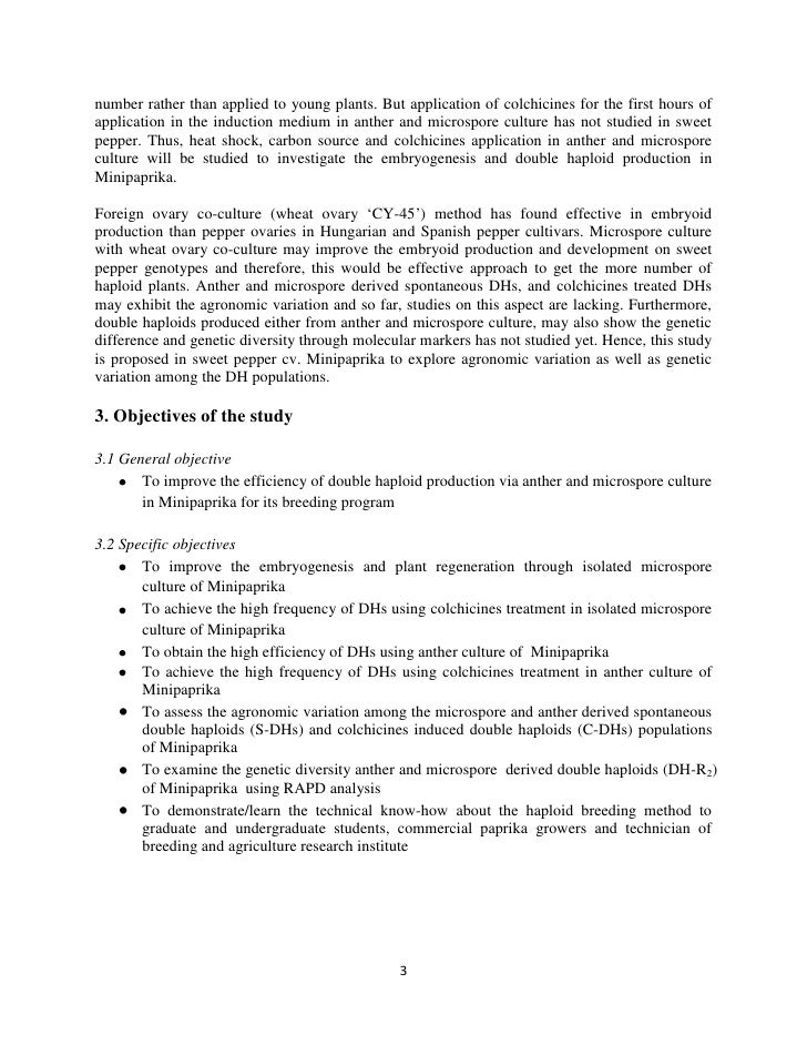 college culture essay nursing