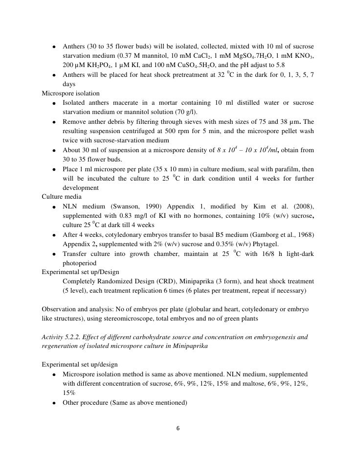The Importance Of English Essay Essay About Clothes Earthquake Drill Sample Essay Proposal also Thesis Statement Narrative Essay Native American And African Belief Systems Thematic Essay English Short Essays