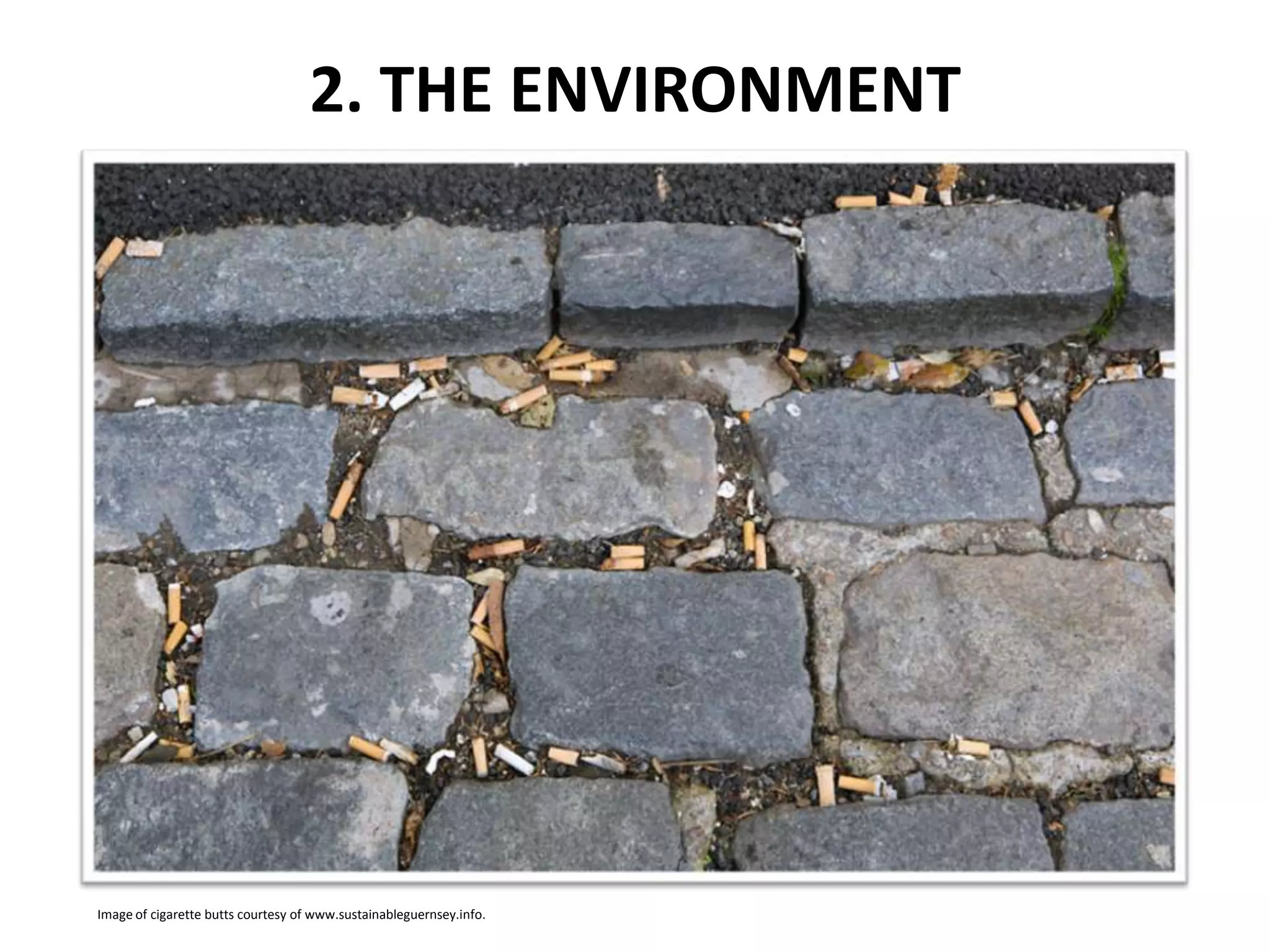 2. THE ENVIRONMENT

Image of cigarette butts courtesy of www.sustainableguernsey.info.

 
