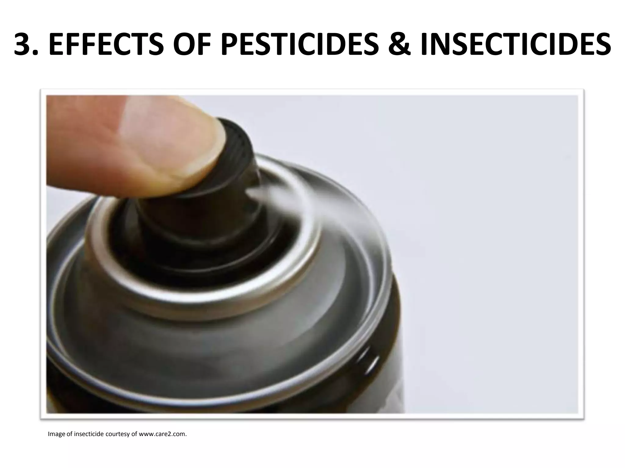 3. EFFECTS OF PESTICIDES & INSECTICIDES

Image of insecticide courtesy of www.care2.com.

 