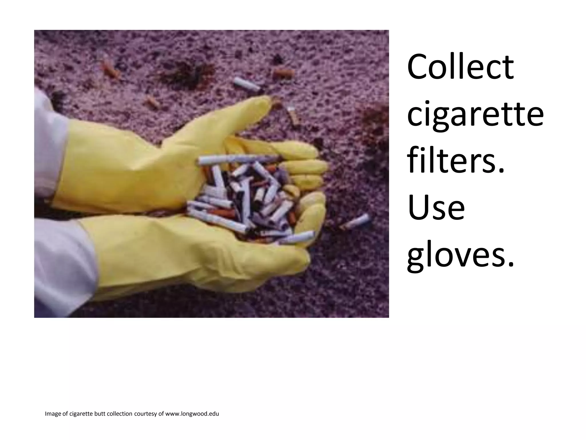 Collect
cigarette
filters.
Use
gloves.

Image of cigarette butt collection courtesy of www.longwood.edu

 