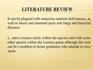 LITERATURE REVIEW


It can be plagued with numerous nutrient deficiencies, as
well as insect and mammal pests and fungi and bacterial
diseases.



L. sativa crosses easily within the species and with some
other species within the Lactuca genus although this trait
can be a problem to home gardeners who attempt to save
seeds.

 