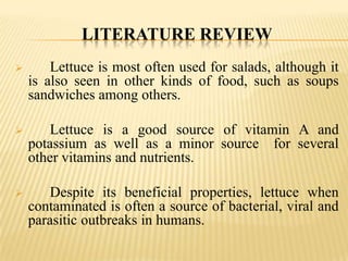 LITERATURE REVIEW


Lettuce is most often used for salads, although it
is also seen in other kinds of food, such as soups
sandwiches among others.



Lettuce is a good source of vitamin A and
potassium as well as a minor source for several
other vitamins and nutrients.



Despite its beneficial properties, lettuce when
contaminated is often a source of bacterial, viral and
parasitic outbreaks in humans.

 