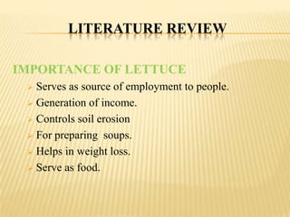 LITERATURE REVIEW
IMPORTANCE OF LETTUCE
Serves as source of employment to people.
 Generation of income.
 Controls soil erosion
 For preparing soups.
 Helps in weight loss.
 Serve as food.


 