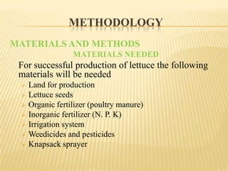 METHODOLOGY
MATERIALS AND METHODS
MATERIALS NEEDED

For successful production of lettuce the following
materials will be needed








Land for production
Lettuce seeds
Organic fertilizer (poultry manure)
Inorganic fertilizer (N. P. K)
Irrigation system
Weedicides and pesticides
Knapsack sprayer

 