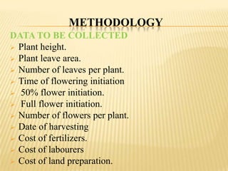 METHODOLOGY
DATA TO BE COLLECTED
 Plant height.
 Plant leave area.
 Number of leaves per plant.
 Time of flowering initiation
 50% flower initiation.
 Full flower initiation.
 Number of flowers per plant.
 Date of harvesting
 Cost of fertilizers.
 Cost of labourers
 Cost of land preparation.

 