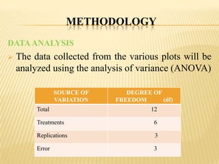 METHODOLOGY
DATA ANALYSIS


The data collected from the various plots will be
analyzed using the analysis of variance (ANOVA)
SOURCE OF
VARIATION
Total

DEGREE OF
FREEDOM
(df)
12

Treatments

6

Replications

3

Error

3

 