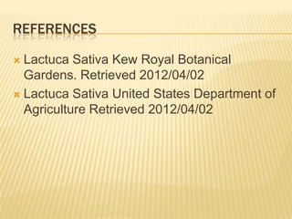 REFERENCES
Lactuca Sativa Kew Royal Botanical
Gardens. Retrieved 2012/04/02
 Lactuca Sativa United States Department of
Agriculture Retrieved 2012/04/02


 