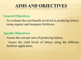 AIMS AND OBJECTIVES
General Objectives:
 To evaluate the cost benefit involved in producing lettuce
using organic and inorganic fertilizers.
Specific Objectives:
 Assess the cost per acre of producing lettuce.
 Assess the yield levels of lettuce using the different
fertilizer application.

 