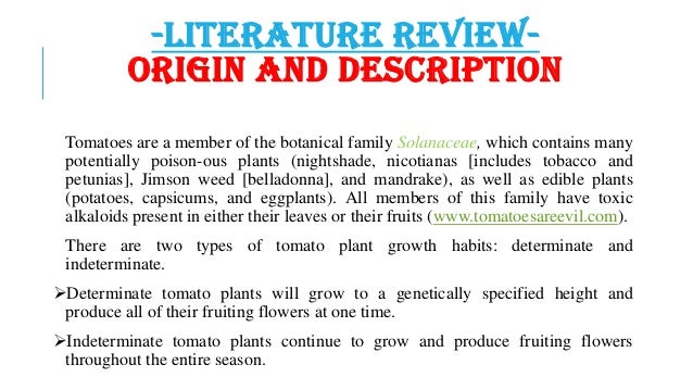 Research proposal about lettuce image