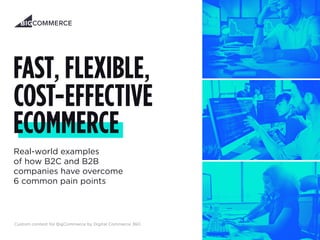 Real-world examples
of how B2C and B2B
companies have overcome
6 common pain points
Custom content for BigCommerce by Digital Commerce 360
 