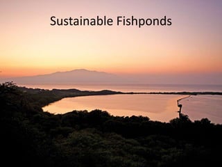 Sustainable Fishponds
 