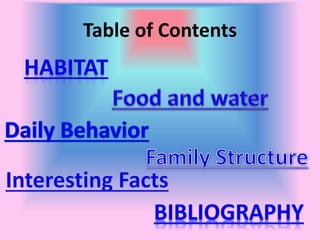 Table of Contents