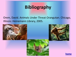 Bibliography
Orem, David. Animals Under Threat Orangutan. Chicago,
Illinois: Heinemann Library, 2005.
home