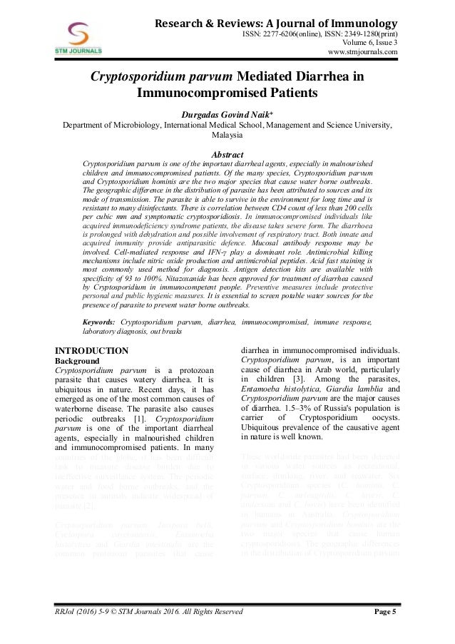 advertising media essay conclusion