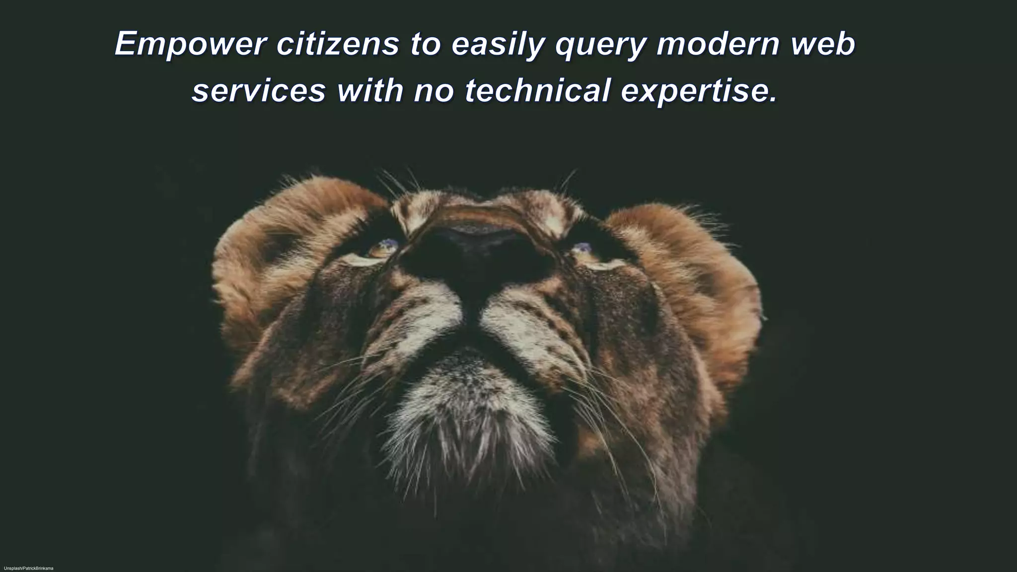 Unsplash/PatrickBrinksma
 