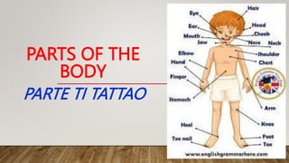 PARTS OF THE
BODY
PARTE TI TATTAO
 