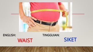 WAIST
TINGGUIAN:
ENGLISH:
SIKET
 