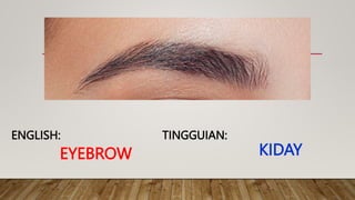 EYEBROW
TINGGUIAN:
ENGLISH:
KIDAY
 