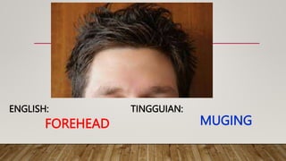 FOREHEAD
TINGGUIAN:
ENGLISH:
MUGING
 