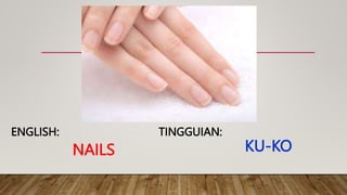 NAILS
TINGGUIAN:
ENGLISH:
KU-KO
 
