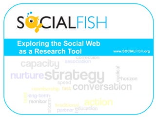 Exploring the Social Web   as a Research Tool www.SOCIAL FISH .org 