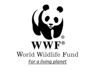 World WildlifeFund For a living planet 