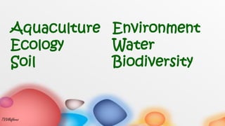 Aquaculture
Ecology
Soil
Environment
Water
Biodiversity
TVVillaflores
 