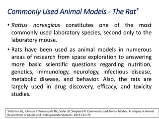 Commonly Used Animal Models - The Rat*
• Rattus norvegicus constitutes one of the most
commonly used laboratory species, second only to the
laboratory mouse.
• Rats have been used as animal models in numerous
areas of research from space exploration to answering
more basic scientific questions regarding nutrition,
genetics, immunology, neurology, infectious disease,
metabolic disease, and behavior. Also, the rats are
largely used in drug discovery, efficacy, and toxicity
studies.
*Hickman DL, Johnson J, Vemulapalli TH, Crisler JR, Shepherd R. Commonly Used Animal Models. Principles of Animal
Research for Graduate and Undergraduate Students. 2017:117–75.
 