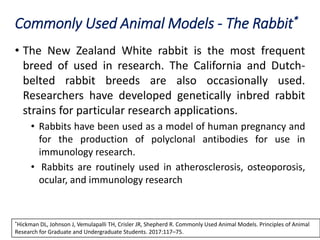 Commonly Used Animal Models - The Rabbit*
• The New Zealand White rabbit is the most frequent
breed of used in research. The California and Dutch-
belted rabbit breeds are also occasionally used.
Researchers have developed genetically inbred rabbit
strains for particular research applications.
• Rabbits have been used as a model of human pregnancy and
for the production of polyclonal antibodies for use in
immunology research.
• Rabbits are routinely used in atherosclerosis, osteoporosis,
ocular, and immunology research
*Hickman DL, Johnson J, Vemulapalli TH, Crisler JR, Shepherd R. Commonly Used Animal Models. Principles of Animal
Research for Graduate and Undergraduate Students. 2017:117–75.
 
