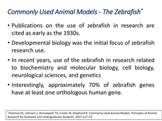 Commonly Used Animal Models - The Zebrafish*
• Publications on the use of zebrafish in research are
cited as early as the 1930s.
• Developmental biology was the initial focus of zebrafish
research use.
• In recent years, use of the zebrafish in research related
to biochemistry and molecular biology, cell biology,
neurological sciences, and genetics
• Interestingly, approximately 70% of zebrafish genes
have at least one orthologous human gene.
*Hickman DL, Johnson J, Vemulapalli TH, Crisler JR, Shepherd R. Commonly Used Animal Models. Principles of Animal
Research for Graduate and Undergraduate Students. 2017:117–75.
 