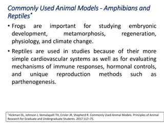 Commonly Used Animal Models - Amphibians and
Reptiles*
• Frogs are important for studying embryonic
development, metamorphosis, regeneration,
physiology, and climate change.
• Reptiles are used in studies because of their more
simple cardiovascular systems as well as for evaluating
mechanisms of immune responses, hormonal controls,
and unique reproduction methods such as
parthenogenesis.
*Hickman DL, Johnson J, Vemulapalli TH, Crisler JR, Shepherd R. Commonly Used Animal Models. Principles of Animal
Research for Graduate and Undergraduate Students. 2017:117–75.
 