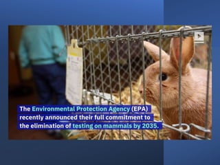 Research with animals and animal models.pptx