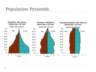 Population Pyramids
 
