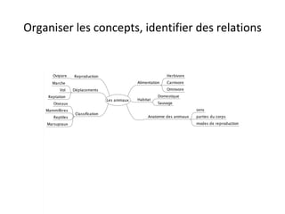 Organiser les concepts, identifier des relations 