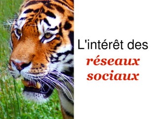L'intérêt des
  réseaux
  sociaux
 