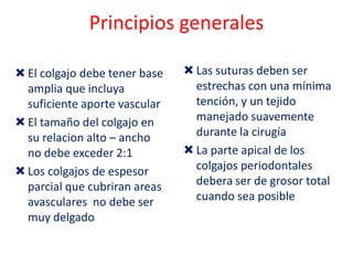 Principios generales
 El colgajo debe tener base
amplia que incluya
suficiente aporte vascular
 El tamaño del colgajo en
su relacion alto – ancho
no debe exceder 2:1
 Los colgajos de espesor
parcial que cubriran areas
avasculares no debe ser
muy delgado

 Las suturas deben ser
estrechas con una mínima
tención, y un tejido
manejado suavemente
durante la cirugía
 La parte apical de los
colgajos periodontales
debera ser de grosor total
cuando sea posible

 