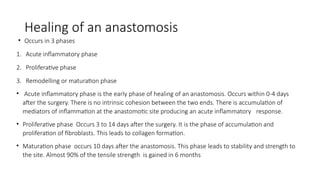 Healing of an anastomosis
• Occurs in 3 phases
1. Acute inflammatory phase
2. Proliferative phase
3. Remodelling or maturation phase
• Acute inflammatory phase is the early phase of healing of an anastomosis. Occurs within 0-4 days
after the surgery. There is no intrinsic cohesion between the two ends. There is accumulation of
mediators of inflammation at the anastomotic site producing an acute inflammatory response.
• Proliferative phase Occurs 3 to 14 days after the surgery. It is the phase of accumulation and
proliferation of fibroblasts. This leads to collagen formation.
• Maturation phase occurs 10 days after the anastomosis. This phase leads to stability and strength to
the site. Almost 90% of the tensile strength is gained in 6 months
 