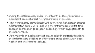 • During the inflammatory phase, the integrity of the anastomosis is
dependent on mechanical strength provided by sutures.
• The inflammatory phase is followed by the fibroplasia phase around
postoperative days 5-7; this phase is characterized by a switch from
collagen degradation to collagen deposition, which gives strength to
the anastomosis.
• Any systemic or local factor that causes delay in the transition from
the inflammatory phase to the fibroplasia phase can result in poor
healing and anastomotic leakage.
 