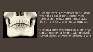  Osseous form is considered to be “ideal”
when the bone is consistently more
coronal on the interproximal surfaces
than on the facial and lingual surfaces.
 The ideal form of the marginal bone has
similar interdental height, with gradual,
curved slopes between interdental peaks
 