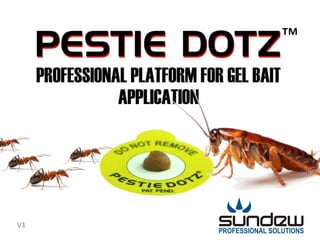 Professional SolutionsThe Experts in Pest ControlV1
™
 