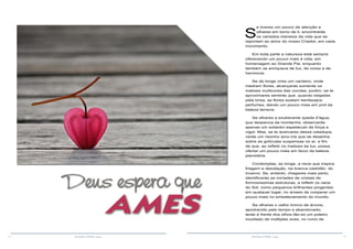 14 15RESENHA ESPÍRITA online RESENHA ESPÍRITA online
S
e tiveres um pouco de atenção e
olhares em torno de ti, encontrarás
os variados meneios da vida que se
reportam ao amor do nosso Criador, em cada
movimento.
Em toda parte a natureza está sempre
oferecendo um pouco mais à vida, em
homenagem ao Grande Pai, enquanto
também se enriquece de luz, de cores e de
harmonia.
Se de longe vires um canteiro, onde
medram flores, alcançarás somente os
matizes multicores das corolas; porém, se te
aproximares sentirás que, quando beijadas
pela brisa, as flores exalam benfazejos
perfumes, dando um pouco mais em prol da
beleza terrena.
Se olhares a exuberante queda d’água,
que despenca da montanha, observarás
apenas um soberbo espetáculo de força e
vigor. Mas, se te acercares dessa catadupa,
verás um risonho arco-íris que se desenha
sobre as gotículas suspensas no ar, a fim
de que, ao refletir os matizes da luz, possa
ofertar um pouco mais em favor da beleza
planetária.
Contemplas, ao longe, a neve que inspira
friagem e desolação, na branca vastidão do
inverno. Se, entanto, chegares mais perto,
identificarás as miríades de cristais de
formosíssimas estruturas, a refletir os raios
do Sol, como pequenos brilhantes pingentes
em qualquer lugar, no anseio de cooperar um
pouco mais no embelezamento do mundo.
Se olhares o velho tronco de árvore,
apodrecido pelo tempo e abandonado,
terás à frente dos olhos tão-só um poleiro
inusitado de múltiplas aves, no rumo de
Deus espera que
AMES
 