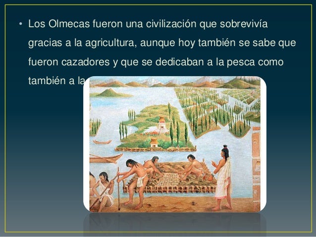 Presentacion olmeca