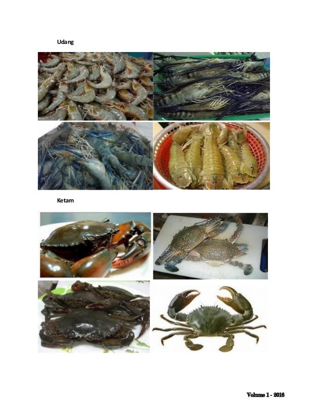 Resepi BBQ dan Grill